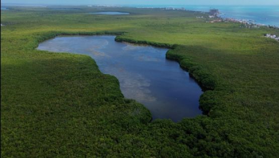 ¿Cómo llegar a Laguna Manatí, hogar de los Flamencos en Quintana Roo para admirar su belleza este 2025?