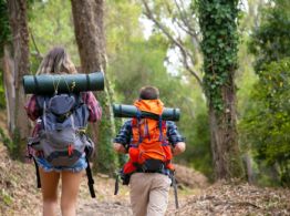 Parque del Jaguar: Todas las actividades que puedes realizar en estas vacaciones de diciembre 2024