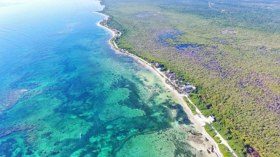 Quintana Roo es uno de los 14 estados del país que cuenta con una estrategia de biodiversidad como instrumento de planeación estatal