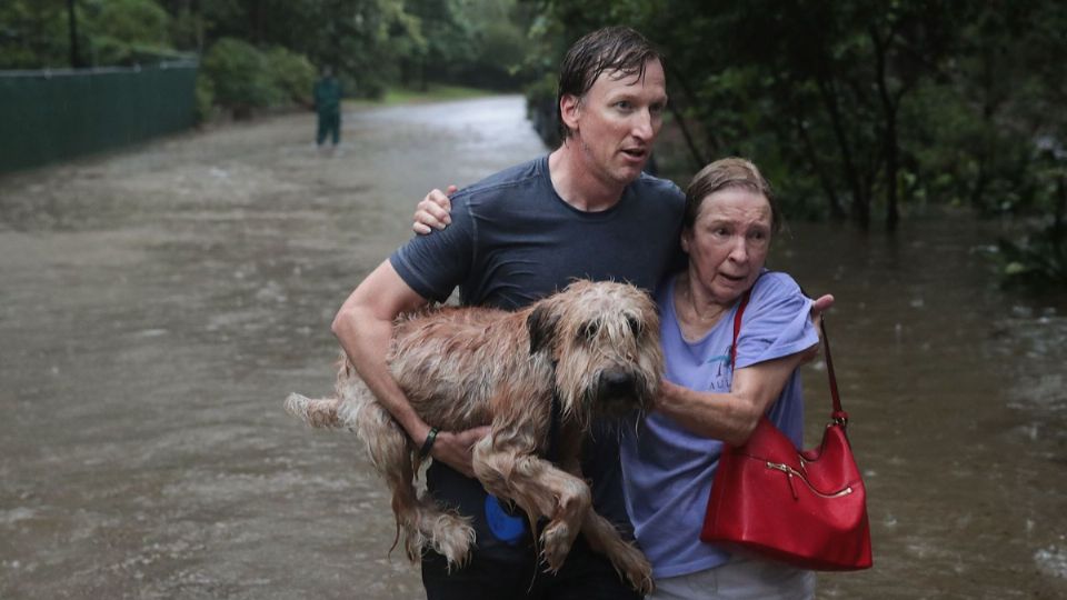 Cómo cuidar a tus mascotas durante el huracán Beryl en México