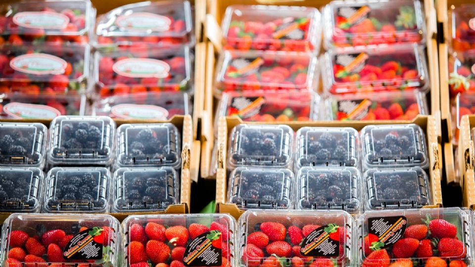 Laa exportación aún no se recupera