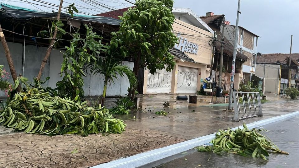 ¿Dónde se puede llevar la basura dejada por Beryl en Quntana Roo?