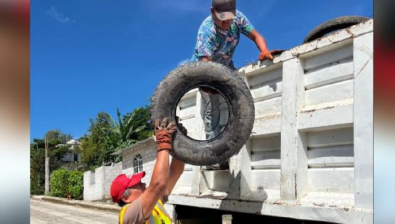 ¡Playa del Carmen contra el Dengue! Inicia mega operativo de descacharrización en la colonia Luis Donaldo Colosio