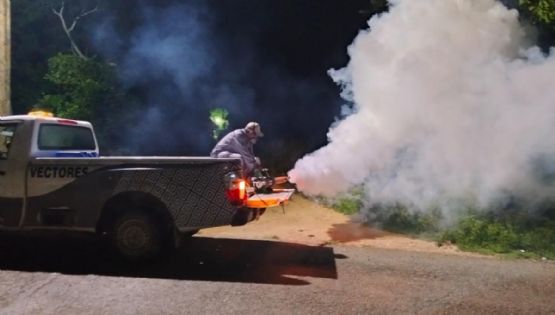 Intensifican combate al dengue en Quintana Roo; anuncian mega operativo de nebulización en los municipios del estado
