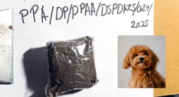 Mara Lezama y asegura que no habrá impunidad en el caso del crematorio Xibalbá: Van 53 denuncias por fraude