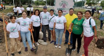 Más de 2 mil árboles han reforestado la Zona Urbana de Cancún