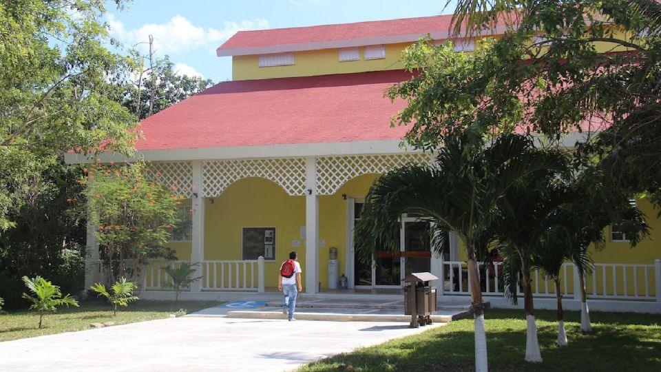 La Universidad de Quintana Roo continúa creciendo en su sede Cozumel.