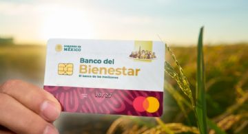 ¿Cuándo deposita la Secretaría del Bienestar Sembrando Vida en Quintana Roo?