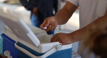 ¿Cómo saber si te toca vacunarte contra el sarampión en Quintana Roo? Lista de grupos prioritarios