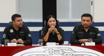 Playa del Carmen activa estrategia integral contra el sargazo 2026; instalarán cinco kilómetros de barreras y monitoreo satelital diario