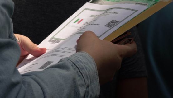 ¿El trámite de la CURP Biométrica en Quintana Roo tiene costo? Alertan por cobros ilegales en Cancún