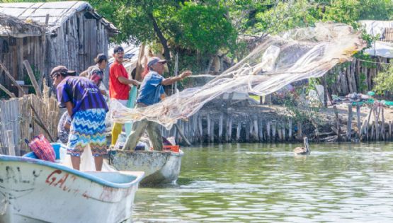 Arranca SEDARPE registro al Sistema Único Agropecuario y Pesquero de Quintana Roo, así te puedes registrar