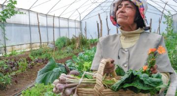 Programa Bienestar Productivo Familiar publica resultados de beneficiarios para 2026, revisa si estás en la lista