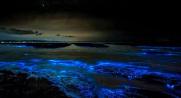 Descubre las playas bioluminiscentes de HOLBOX esta Semana Santa 2026 y enamórate de la magia del Ca