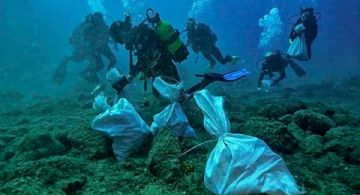¿Quieres ser parte del cambio? Únete a la limpieza de fondo marino organizada por ZOFEMAT