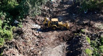 Avanza proyecto de manejo sustentable de residuos verdes en Cozumel.