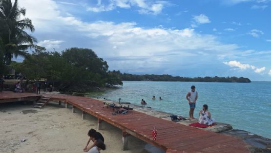 “No estamos en contra del desarrollo”: Guillermo Christy, de Selvame MX, traza el camino hacia un desarrollo viable en Quintana Roo