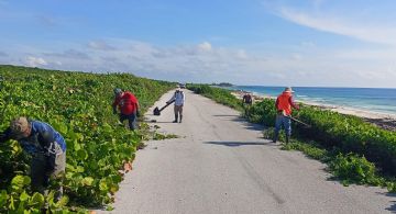 Detectan desechos domésticos y de construcción en la carretera perimetral de Cozumel
