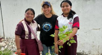 Continúan plantando árboles frutales en escuelas de Benito Juárez