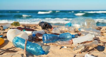 Ocean Conservacy alerta por vidrio, basura internacional y cigarro en playas de Cancún