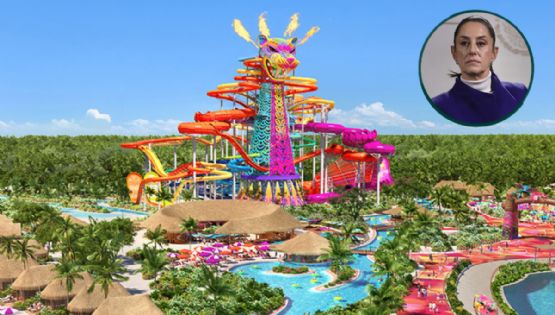 ¿Qué es 'Perfect Day' en Mahahual? Sheinbaum defiende los manglares de Quintana Roo