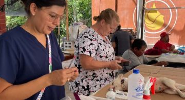 Kan realiza jornada de esterilización gratuita en Cozumel con apoyo comunitario.