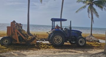 Incrementa recolección se sargazo en playas de Cancún
