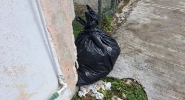 PASA reconoce deficiencias en recolección de basura y anuncia refuerzo, ante quejas ciudadanas