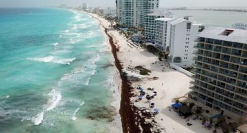 ¿Cómo está el sargazo en CANCÚN en junio 2026? Retiran más de 15 mil toneladas de las costas