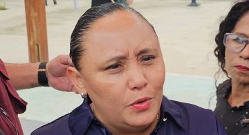 No habrá impunidadpara extranjeros que cometan delitos en Quintana Roo: SEGOB