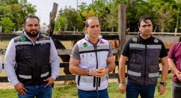 Protege Gobierno Municipal a nueve equinos en condiciones de riesgo